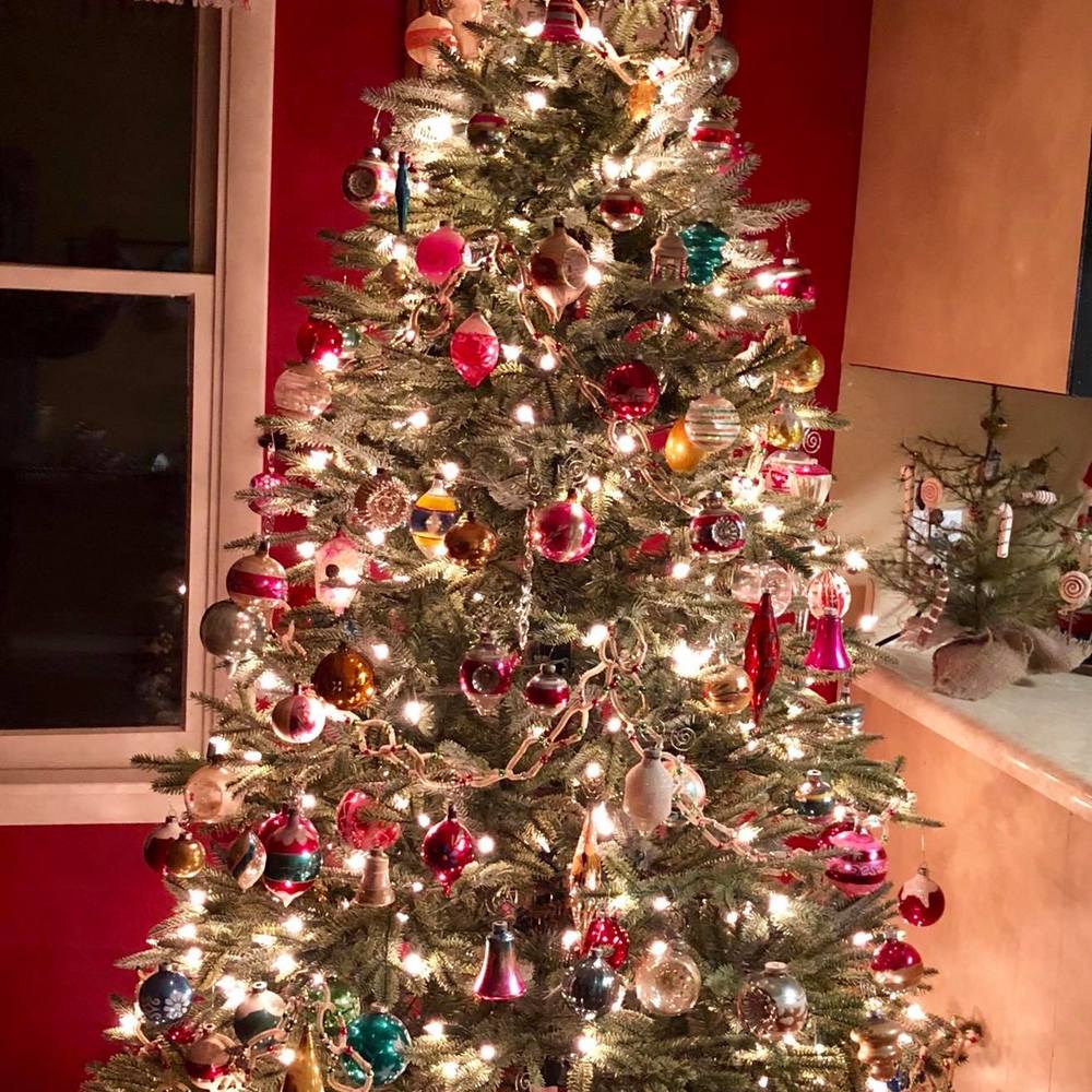 Meet your Posher, Lori